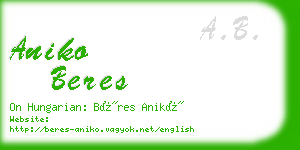 aniko beres business card